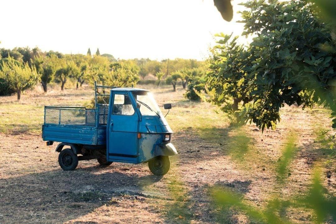 Casa In Campagna ⋅ Forimia Villa San Vito dei Normanni Buitenkant foto
